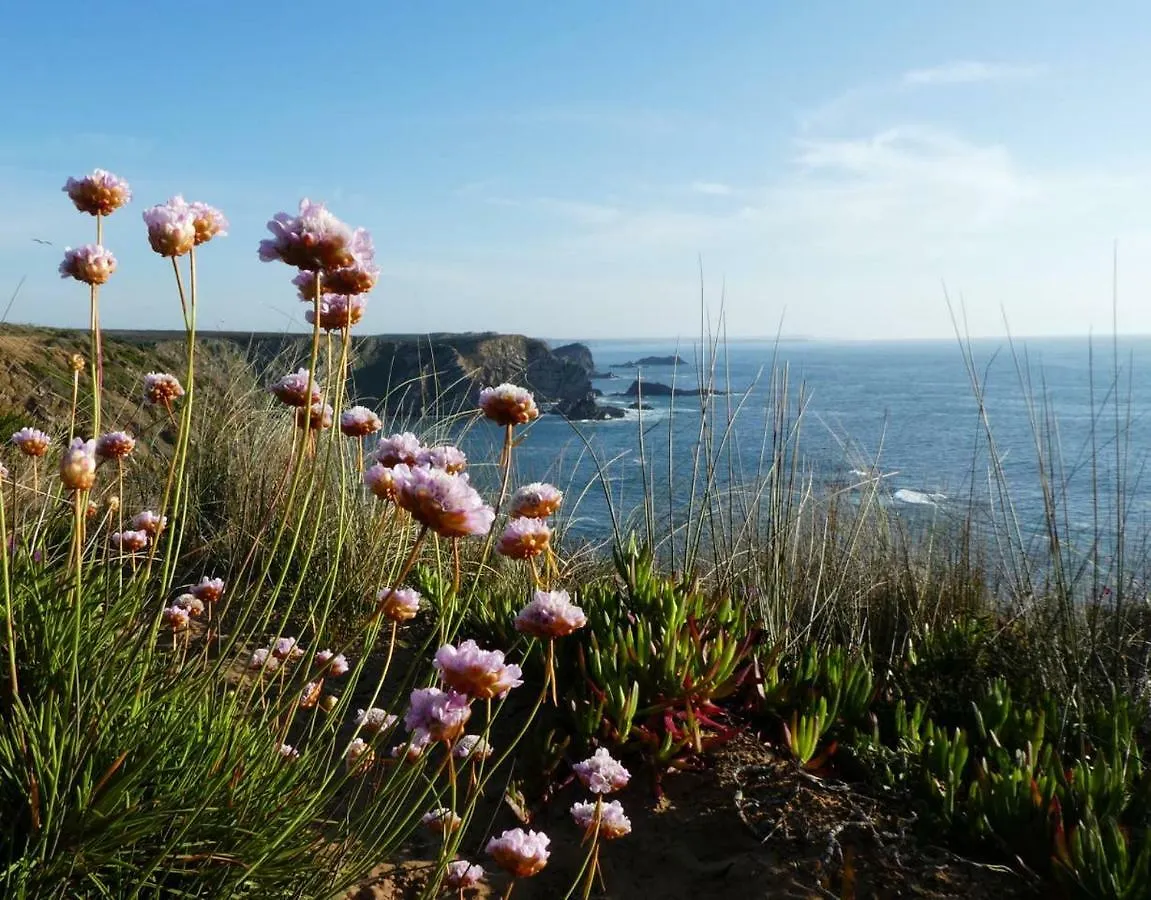 Love Nest - Sunny Ocean View Apartment Close To Arrifana Beach Aljezur Portugal